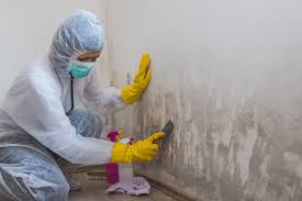 Best Crawl Space Mold Remediation  in Morrow, OH